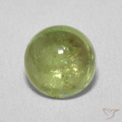 1.61ct Natürlicher Olivgrün Turmalin, Runden, Transparent