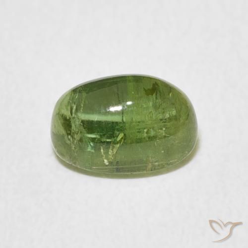 9,17 ctw natürlicher Lebendiges grün Turmalin, Oval, Transparent