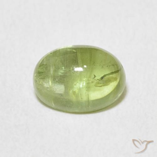 1.57ct Natürlicher Leichtes lebendiges Grün Turmalin, Oval, Transparent