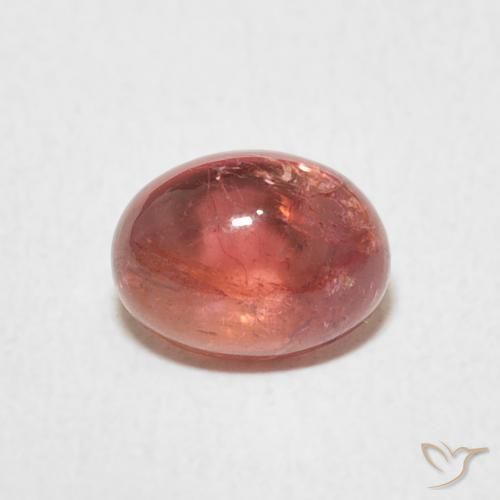 1.25ct Natürlicher Intense Reddish Pink Turmalin, Oval, Transparent