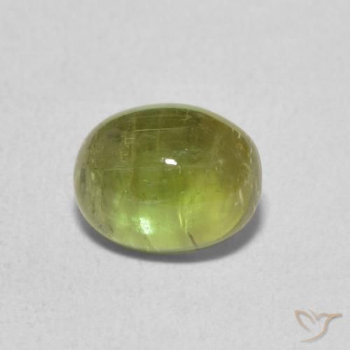 1.39ct Natürlicher Helles Waldgrün Turmalin, Oval, Transparent, Photo A