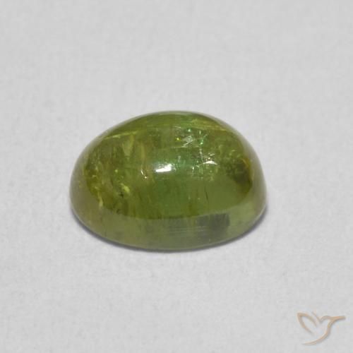 9,17 ctw natürlicher Helles Waldgrün Turmalin, Oval, Transparent