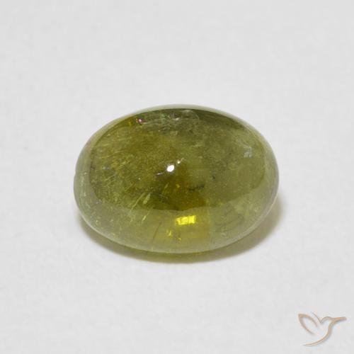 1.29ct Natürlicher Mittelgrün Turmalin, Oval, Transparent