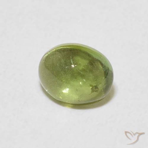 9,17 ctw natürlicher Olivgrün Turmalin, Oval, Transparent