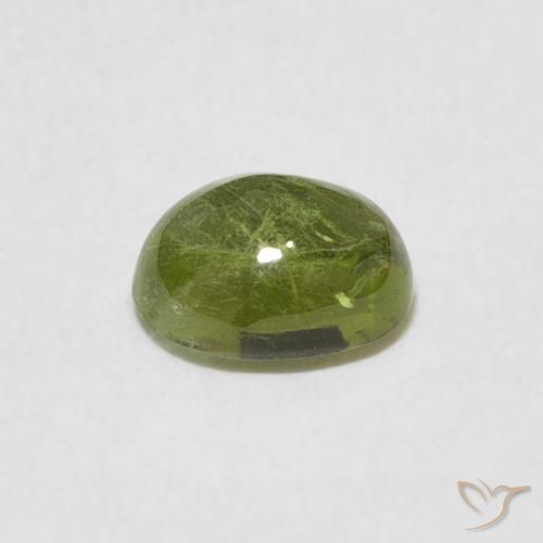 9,17 ctw natürlicher Olivgrün Turmalin, Oval, Transparent