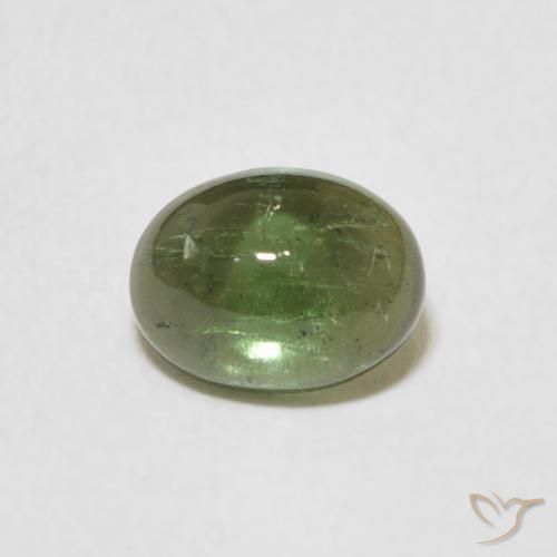 1.27ct Natürlicher Mittelgrün Turmalin, Oval, Transparent