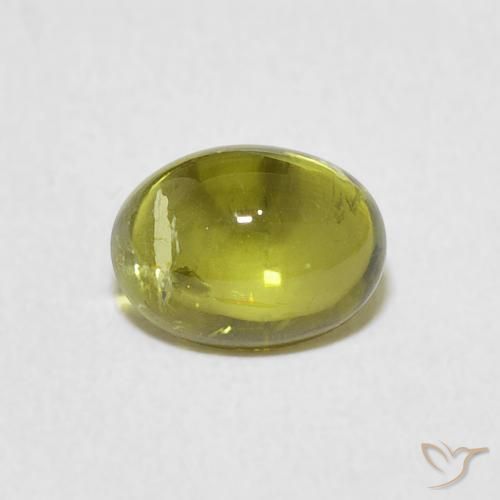 1.44ct Natürlicher Warmes Erdgrün Turmalin, Oval, Transparent, Photo A