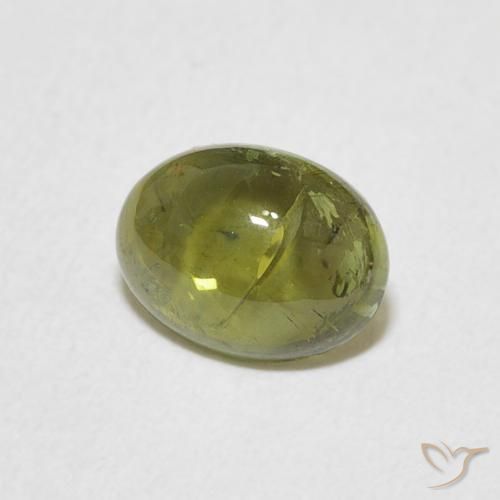 9,17 ctw natürlicher Warmes Grün Turmalin, Oval, Transparent