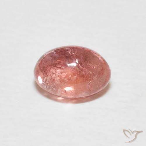 0.62ct Natürlicher Indisches Rot Turmalin, Oval, Transparent