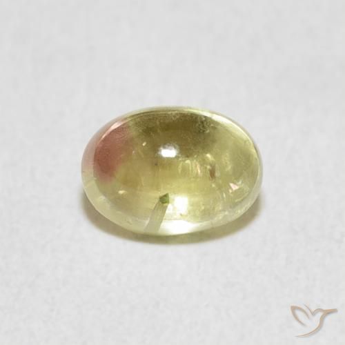 0.96ct Natürlicher Zweifarbig Turmalin, Oval, Transparent