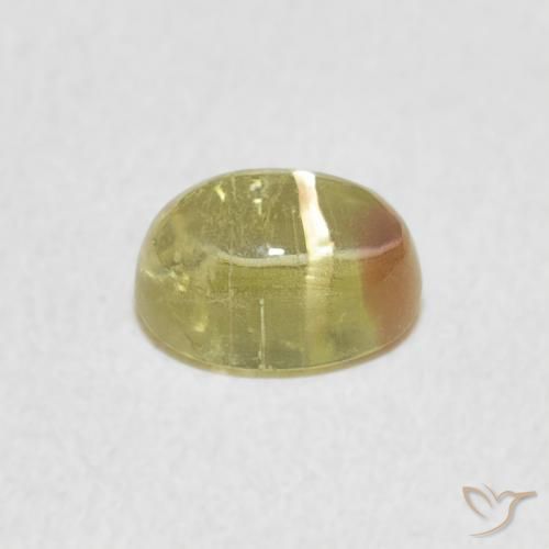 9,17 ctw natürlicher Zweifarbig Turmalin, Oval, Transparent
