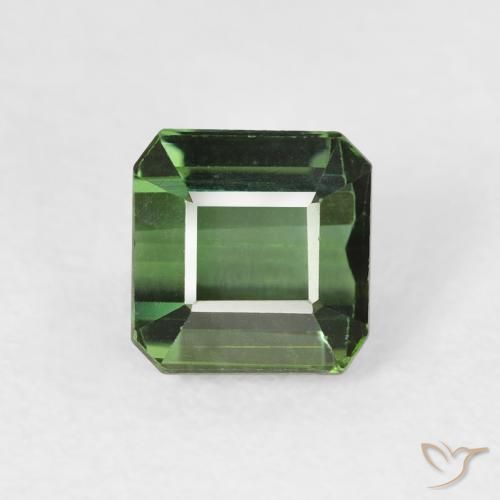1.42ct Natürlicher Waldgrün Turmalin, Smaragdschliff, VVS