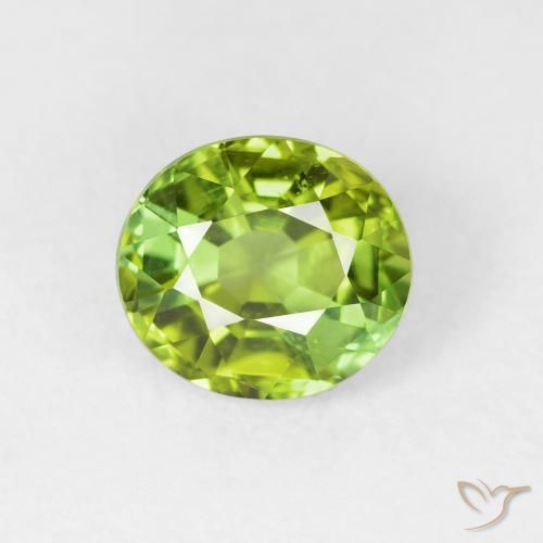 1.65ct Natürlicher Leichtes lebendiges Grün Turmalin, Oval, VVS-VS, Photo A