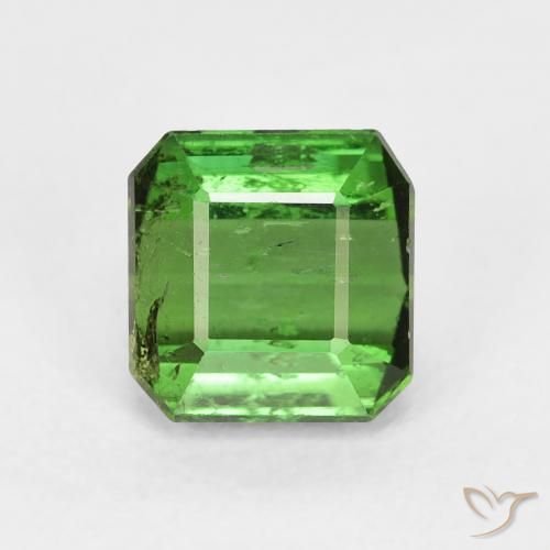 1.71ct Natürlicher Waldgrün Turmalin, Smaragdschliff, VS-SI