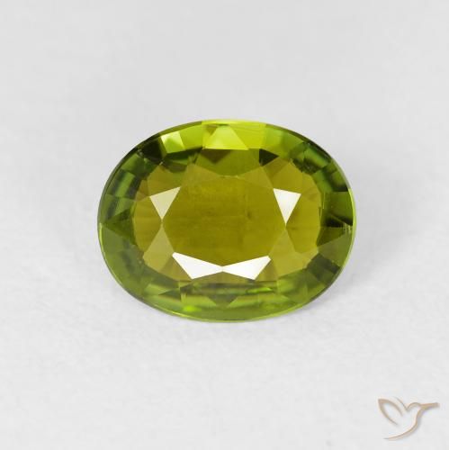 1.32ct Natürlicher Warmes Waldgrün Turmalin, Oval, VS