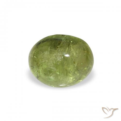 0.79ct Natürlicher Mittelgrün Turmalin, Oval, Transparent