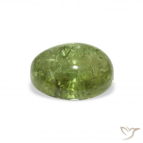 9,17 ctw natürlicher Warmes Grün Turmalin, Oval, Transparent