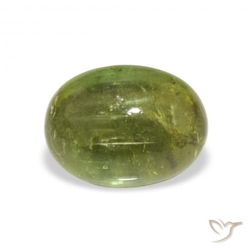 1.89ct Natürlicher Waldgrün Turmalin, Oval, Transparent