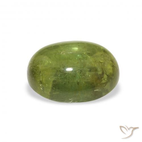 9,17 ctw natürlicher Waldgrün Turmalin, Oval, Transparent