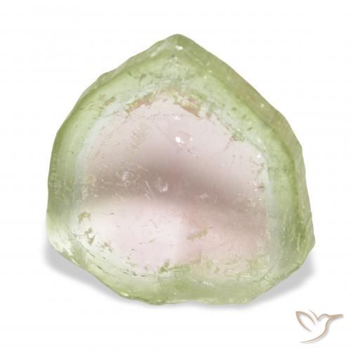 9,17 ctw natürlicher Zweifarbig Turmalin, Fantasie, Transparent