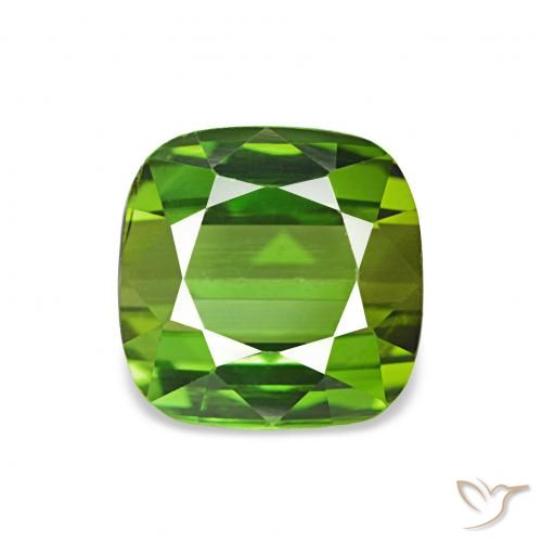 1.75ct Mittelgrün Turmalin, Kissen, VVS-VS