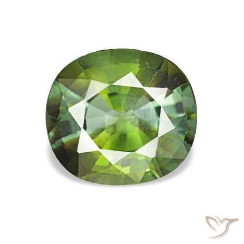 1.44ct Mittelgrün Turmalin, Kissen, VS