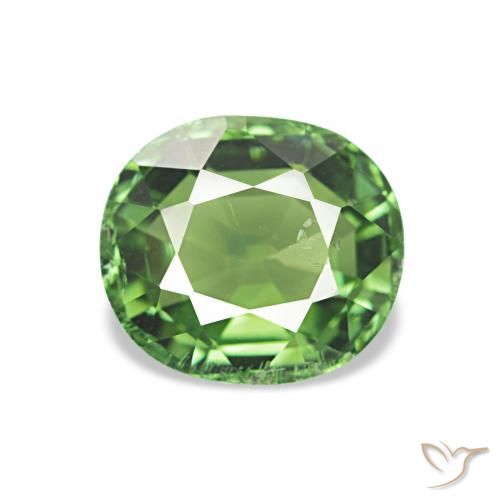 1.32ct tiefgrün Turmalin, Oval, VS