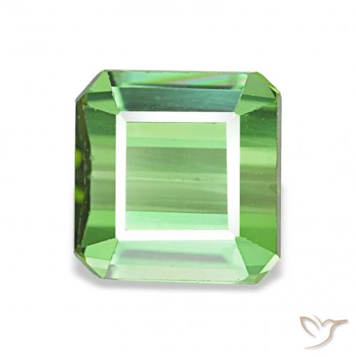 1.61ct Natürlicher Grün Turmalin, Oktagonschliff, VVS-VS, Photo A