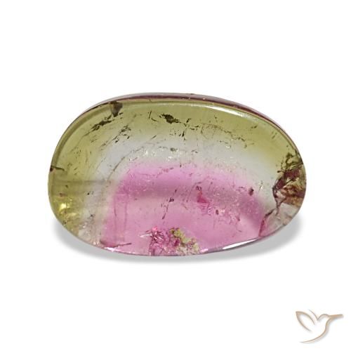 1.66ct Mehrfarbiger Turmalin, Fantasie, Transparent