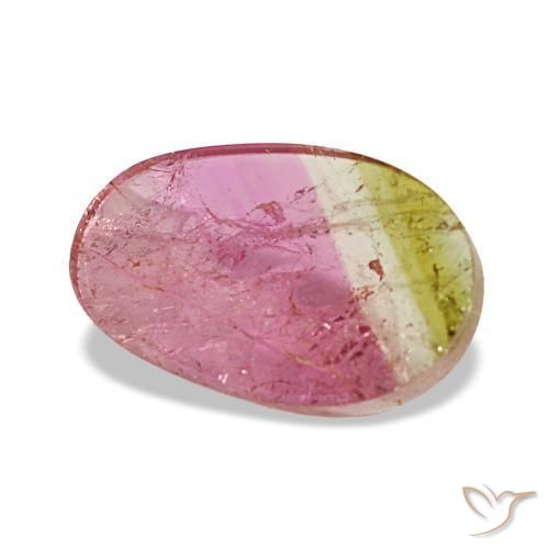 1,59 ctw natürlicher zweifarbiger Turmalin, Oval Schliff, Transparent
