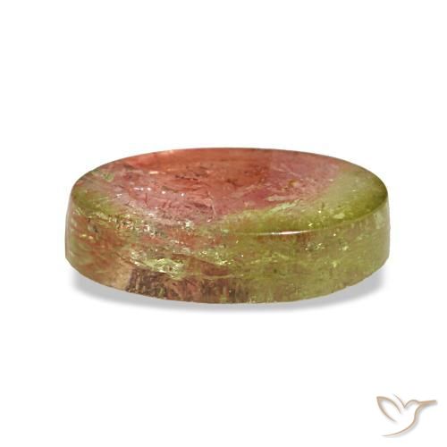 1,74 ctw natürlicher mehrfarbiger Turmalin, Oval Schliff, Transparent