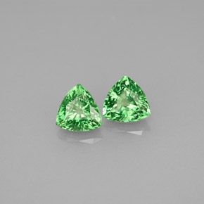  ct natürliche grüner Tsavorit-Edelsteine, Trillion, VS-SI