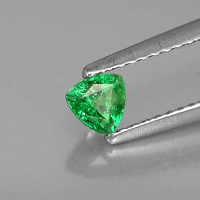 0,34 ctw natürlicher grüner Tsavorit, Trillion, VS