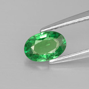 0,56 ctw natürlicher grüner Tsavorit, Oval Schliff, VS