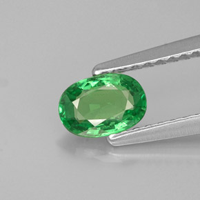 0,55 ctw natürlicher grüner Tsavorit, Oval Schliff, VS-SI