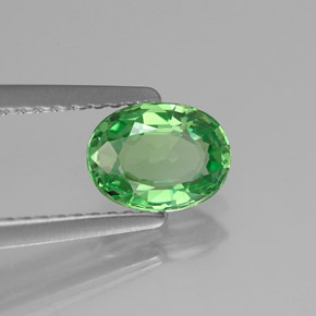 0,89 ctw natürlicher grüner Tsavorit, Oval Schliff, VS