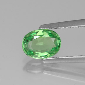 0,89 ctw natürlicher grüner Tsavorit, Oval Schliff, VS