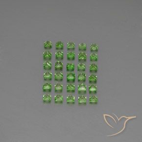 2.67 ct natürliche Lebendiges grün Tsavorit-Granat-Edelsteine, Quadrat, VVS-VS