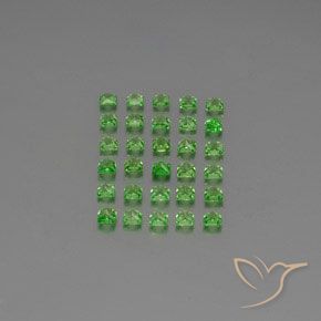 2.74 ct natürliche Lebendiges grün Tsavorit-Granat-Edelsteine, Quadrat, VVS-VS
