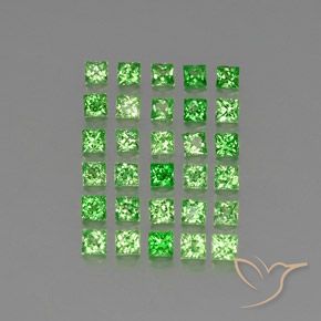 2.96 ct natürliche Giftgrün Tsavorit-Granat-Edelsteine, Quadrat, VVS-VS