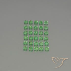 2.62 ct natürliche Mittelgrün Tsavorit-Granat-Edelsteine, Quadrat, VVS-VS