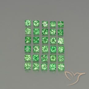 2.79 ct natürliche Giftgrün Tsavorit-Granat-Edelsteine, Quadrat, VVS-VS