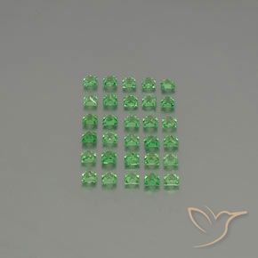 2.79 ct natürliche Giftgrün Tsavorit-Granat-Edelsteine, Quadrat, VVS-VS