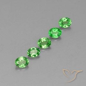 1.41 ct natürliche Lebendiges grün Tsavorit-Granat-Edelsteine, Oval, VS