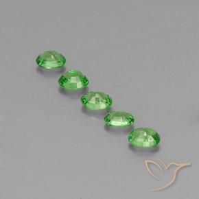 1.41 ct natürliche Lebendiges grün Tsavorit-Granat-Edelsteine, Oval, VS