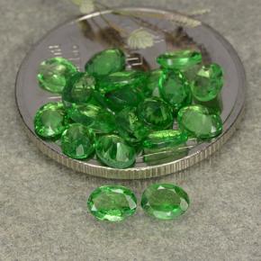 3,03 ct natürliche grüner Tsavorit-Edelsteine, Oval Schliff, VS