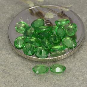 3,03 ct natürliche grüner Tsavorit-Edelsteine, Oval Schliff, VS