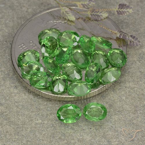 3.04ctw Natürlicher Mittelgrün Tsavorit-Granat, Oval, VS
