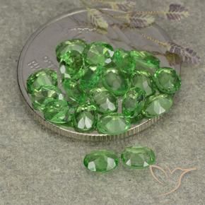 3.04 ct natürliche Mittelgrün Tsavorit-Granat-Edelsteine, Oval, VS