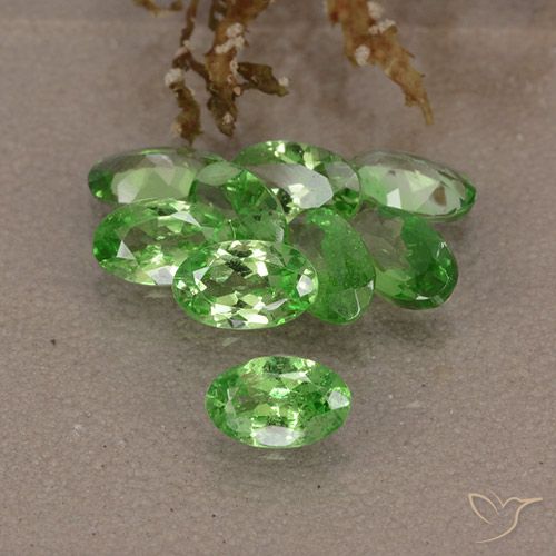 2.59ctw Natürlicher Lebendiges grün Tsavorit-Granat, Oval, VS